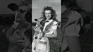 О чем расскажут старые фотографии