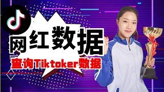 如何快速查出 TikToker 网红的数据 | 87man | 视频营销 | 影片营销