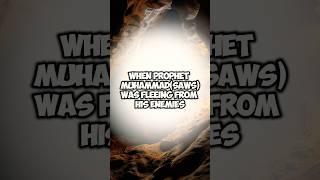 How Allah Protected Prophet Muhammad(SAW) #islamicstory #quotes #islamicwisdom #wisdomofislam