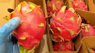 Tips for Picking the best Dragon Fruit at a Grocery Store