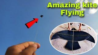 Amazing Lawin Kite