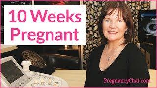 "10 Weeks Pregnant" by PregnancyChat.com @PregChat