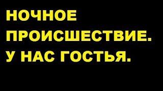 Ночной случай и гостья издалека.