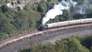 The Looe Valley Explorer