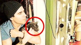 Real GHOST Haunted Basement My Cat Scared