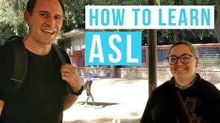 How to Become Fluent in Sign Language (3 Tips) | ASL Basics Interviews Courtney Hall