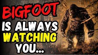 Bigfoot is Always Watching You... | Sasquatch Encounter | The Cryptid Files