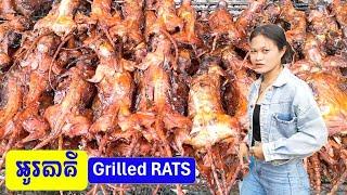 Street Food Tour: Delicatessen in Battambang, Cambodia | Grilled Rats | កណ្ដុរអាំង អូរតាគី