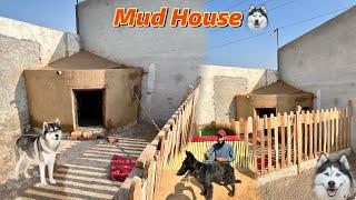 Dog House Complete Ho Gia  || Kaisa Lag Rha Mud Dog House ?