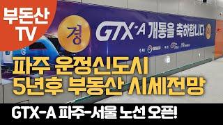 GTX-A노선 오픈후 파주 Top3 아파트 단지(운정신도시 아이파크, 운정신도시 센트럴푸르지오, 힐스테이트 운정) 지금이라도 매수하면 될까? AI분석 | 부돈산TV