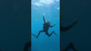 Diving on the Great Barrier Reef from a live aboard from Cairns.