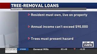 No-interest loans for tree removal in Rockford