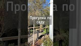 Приглашаю на прогулку по саду️В этот четверг️