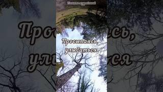 Просыпаясь, улыбаться, Олег Митяев, доброе утро