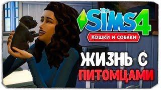 ЖИЗНЬ С ПИТОМЦАМИ! - The Sims 4 "Кошки и Собаки" ▮