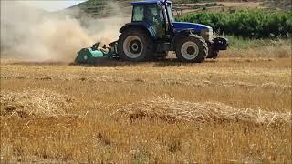 Trituradora agrícola TA Parrilla 3000 - Trituradoras Picursa