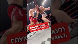 АЛЫЙ ЗВЕРЬ ВЫРУБАЕТ БАБКИНА #хардкор #кулачка #алыйзверь #нокаут #турнир #хайп #hype #hfc #hardcore