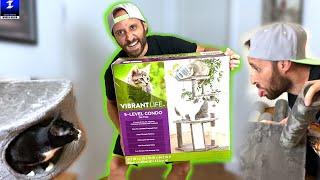 How To Assemble a Cat Tree | Vibrant Life 5-Level Condo