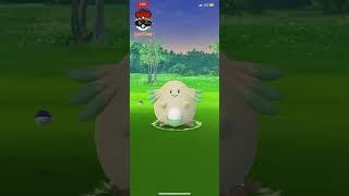 Wild Shiny Chansey Caught! #ShortsVideo #Pokemon #PokemonGO #Shorts #PoGO