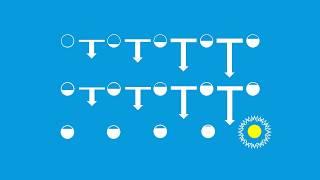 Introduction To Optimization: Gradient Free Algorithms (1/2) - Genetic - Particle Swarm