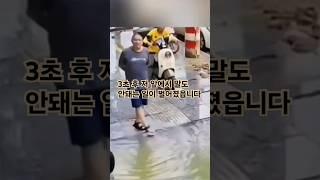 3초 후 저 앞에서 말도 안돼는 일이 벌어졌읍니다