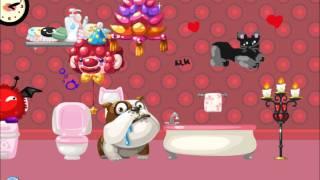 Pet Party Bilder