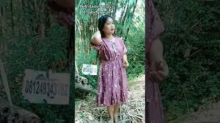 SEMINGGU SEK KUAT PING PIRO MAS? SENG JEK ENOm