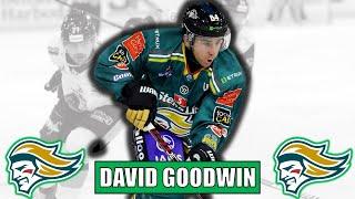 Belfast Giants Sign David Goodwin