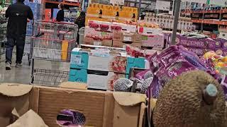 1/29/24 Costco có bán trái mít/ Jackfruits at Costco