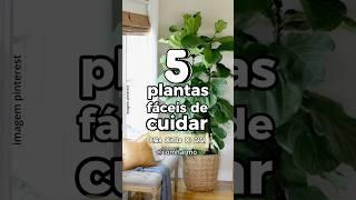 5 PLANTAS FÁCEIS DE CUIDAR PARA DENTRO DE CASA! | Espécies que não exigem sol o tempo inteiro!