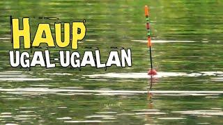 HAUP UGAL UGALAN || Mancing Ikan Nila di Kali Simo Widang Tuban