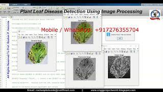 Plant Disease Detection Using Image Processing | Plant Disease Classification Using Matlab Project