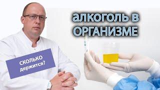 ⏳ Сколько в организме держится алкоголь 