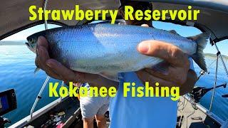 Strawberry Reservoir Kokanee Fishing