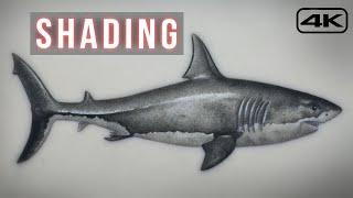 Tattoo Tutorial - How to Tattoo for Beginners - Shark 