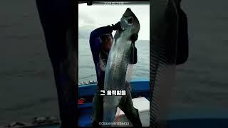 가장 특이한 물고기 
