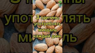 3 причины употреблять миндаль каждый день #здоровье #миндаль #полезныесоветы