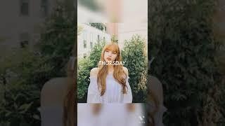 Lisa of the week | BLINK x ARMY