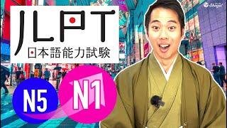 Why I Couldn't Get a Full Score on JLPT | A Native Japanese Tries JLPT N5~N1