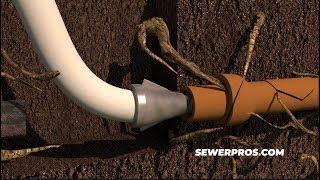 Sewer Pros | Pipe Bursting for Residential Lateral Lines | Rancho Palos Verdes, California