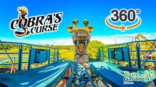 VR 360 Cobra's Curse Roller Coaster On Ride POV with Queue Busch Gardens Tampa 2023 10 31