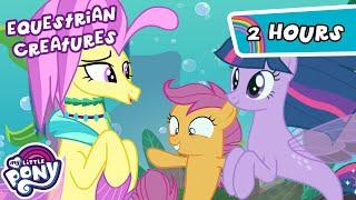 Discover the Creatures of Equestria‍️ | 2 HOUR | My Little Pony: Friendship is Magic