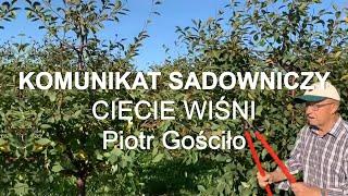 #49 WIŚNIA Komunikat sadowniczy Piotr Gościło - cięcie i formowanie drzew