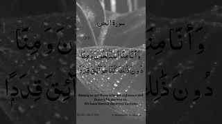 Surah Al Jinn Ayat No 72:11 #quran #explore #islamicvideo #quotes #subscribe #ytshorts #allah #love