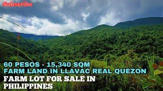 #vlog196 FARM LOT FOR SALE IN PHILIPPINES - 15,340 SQM - 60 PESOS PER SQM - OCT - TITLE