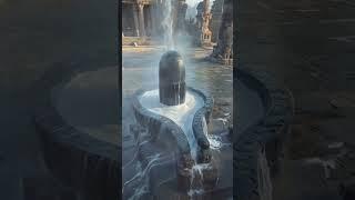 Om Namah Shivay️🪘 #mahadev #shiv #bhakti #hindu #bhajan #shorts #trending #viralvideo #sanatan