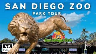 San Diego Zoo Full Tour - Exhibits, Tips & Animal Information