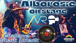 3D 360 VR ALBOROSIE - Challawa / Shark Attack LIVE@overjamreggae @PuppaALBO