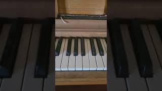You think piano tutorials on YouTube shorts are never correct?