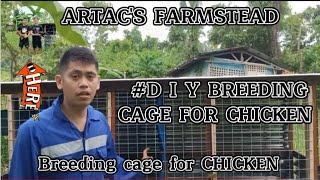 BREEDING CAGE FOR CHICKEN IDEAS | DO IT YOURSELF CAGE [2022]